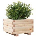 vidaXL Záhradný kvetináč 40x40x26,5 cm masívna borovica – Obrázok 4