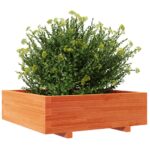 vidaXL Záhradný kvetináč voskovohnedý 80x80x26,5 cm masívna borovica – Obrázok 4