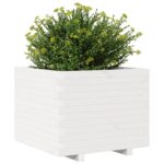 vidaXL Záhradný kvetináč biely 60x60x49,5 cm masívna borovica – Obrázok 4