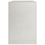 vidaXL Regál na krbové drevo 100x40x60 cm, nehrdzavejúca oceľ – Obrázok 5