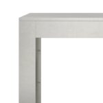 vidaXL Regál na krbové drevo 100x40x60 cm, nehrdzavejúca oceľ – Obrázok 7