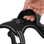 vidaXL Postroj pre psov s reflexnými pruhmi nastaviteľný čierny L – Obrázok 8