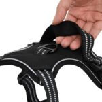 vidaXL Postroj pre psov s reflexnými pruhmi nastaviteľný čierny XL – Obrázok 8