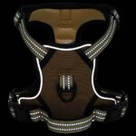 vidaXL Postroj pre psov s vodítkom a obojkom nastaviteľný hnedý XL – Obrázok 4