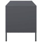 vidaXL TV skrinka antracit 101,5x39x43,5 cm oceľ valcovaná za studena – Obrázok 6