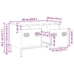 vidaXL TV skrinka biela 68x39x43,5 cm oceľ valcovaná za studena – Obrázok 12