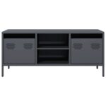 vidaXL TV skrinka antracit 101,5x39x43,5 cm oceľ valcovaná za studena – Obrázok 4