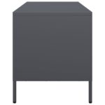 vidaXL TV skrinka antracit 101,5x39x43,5 cm oceľ valcovaná za studena – Obrázok 6