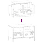 vidaXL TV skrinka ružová 68x39x43,5 cm oceľ valcovaná za studena – Obrázok 10