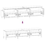 vidaXL TV skrinka ružová 202x39x43,5 cm oceľ valcovaná za studena – Obrázok 11