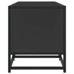 vidaXL TV skrinka čierna 120x35x41 cm kompozitné drevo a kov – Obrázok 5