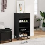 vidaXL Regál na topánky čierna 48x38x97,5 cm spracované drevo – Obrázok 3