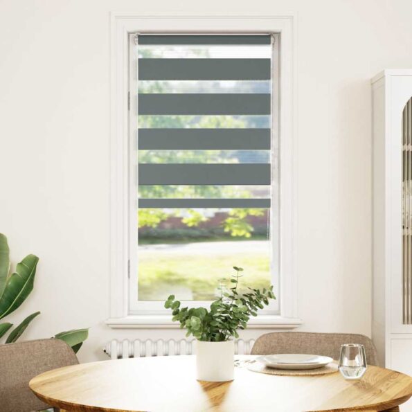 vidaXL Zebra roleta tmavošedá 60x150 cm šírka látky 55,9 cm polyester – Obrázok 2