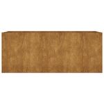 vidaXL Záhradný vyvýšený záhon 200x80x80 cm korténová oceľ – Obrázok 4