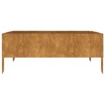 vidaXL Vyvýšený záhradný záhon 100x100x41 cm cortenová oceľ – Obrázok 3