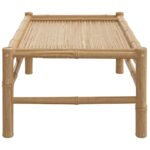 vidaXL Záhradný konferenčný stolík 100x55x33 cm bambus – Obrázok 4