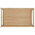 vidaXL Záhradný konferenčný stolík 100x55x33 cm bambus – Obrázok 5
