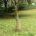 vidaXL Valec z juty 0,25x25 m 100 % juta 200 gsm