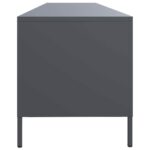 vidaXL TV skrinka antracit 202x39x43,5 cm oceľ valcovaná za studena – Obrázok 6