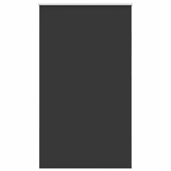 vidaXL Roleta Zatemnenie Čierna 125x210 cm Šírka látky 121,6 cm – Obrázok 2