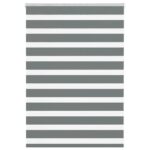 vidaXL Zebra roleta tmavošedá 100x100 cm šírka látky 95,9 cm polyester