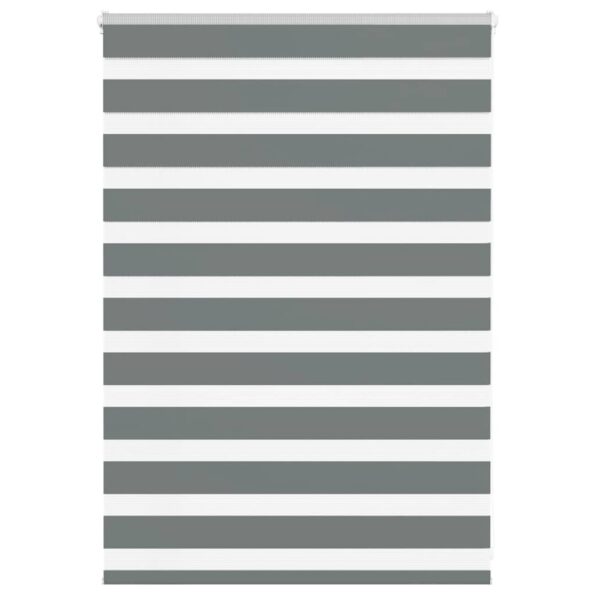 VXL8721158344069_a_en_hd_1.jpg vidaXL Zebra roleta tmavošedá 100x100 cm šírka látky 95,9 cm polyester – Obrázok 1