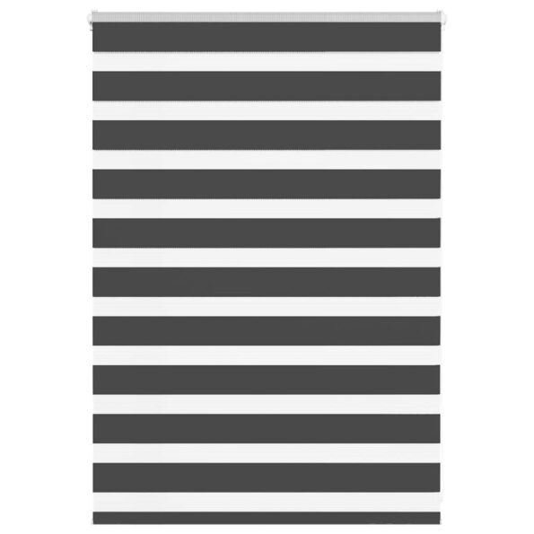 VXL8721158345103_a_en_hd_1.jpg vidaXL Zebra roleta čierna 100x100 cm šírka látky 95,9 cm polyester – Obrázok 1