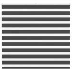 vidaXL Zebra roleta čierna 155x100 cm šírka látky 150,9cm polyester – Obrázok 2