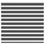 vidaXL Zebra roleta čierna 165x100 cm šírka látky 160,9cm polyester