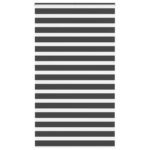 vidaXL Zebra roleta čierna 125x200 cm šírka látky 120,9cm polyester