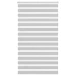 vidaXL Zebra roleta svetlosivá 120x230cm šírka látky 115,9cm polyester