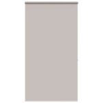 vidaXL Sprchová roleta s kazetou, 120x240 cm, šírka látky 116 cm