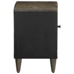 vidaXL TV skrinka Svetlosivá 80x31,5x46 cm Masívne drevo Mango – Obrázok 4