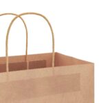 vidaXL Papierové tašky 250 ks s rúčkami, hnedá, 45x17x48 cm – Obrázok 10