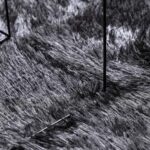 vidaXL Chlpatý koberec s vysokým vlasom tmavosivá 160x160 cm polyester – Obrázok 7