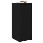 vidaXL Komoda dub čierny 29,5x34x76 cm kompozitné drevo – Obrázok 4