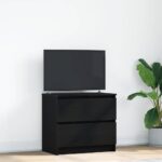 TV Skrinka vidaXL Čierna 60x35x54 cm Upravené drevo