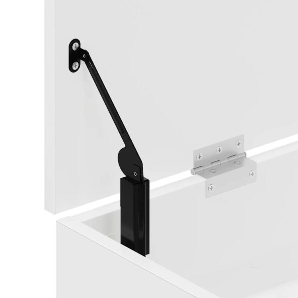 vidaXL Lavička na topánky Biela 102x30,5x45 cm Engineered Wood – Obrázok 9