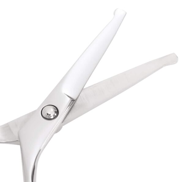 VidaXL 6-dielna sada nožníc na úpravu psov z nehrdzavejúcej ocele – Obrázok 5