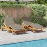 vidaXL Opaľovacie lehátka 2 ks s vankúšmi a kolieskami taupe z masívu akácie, vidaXL Skladacie opaľovacie lehátko s kolieskami a vankúšom taupe z masívu akácie
