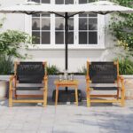 vidaXL Záhradný nábytok 2 pcs Čierna 67 x 76 x 73 cm – Obrázok 3