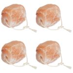 vidaXL Soľné kamene 4 ks s lánami pre hospodárske zvieratá 10 kg Ružová