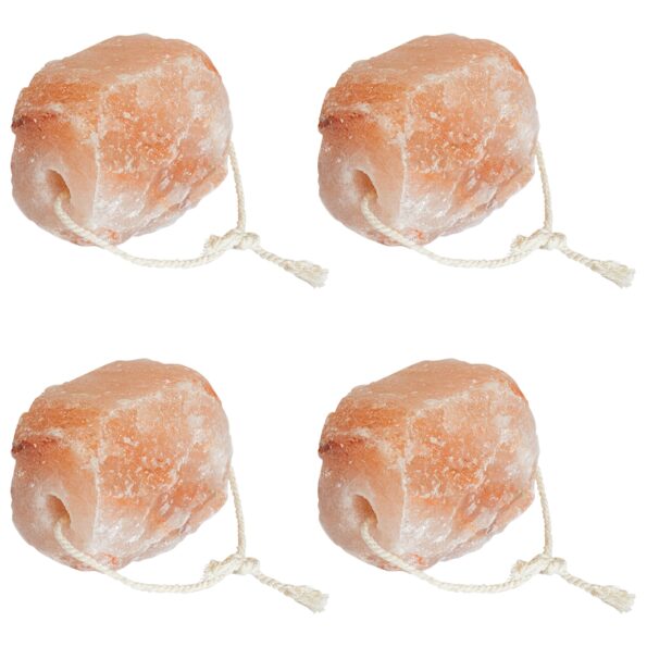 42000116_1.jpg vidaXL Soľné kamene 4 ks s lánami pre hospodárske zvieratá 10 kg Ružová – Obrázok 1