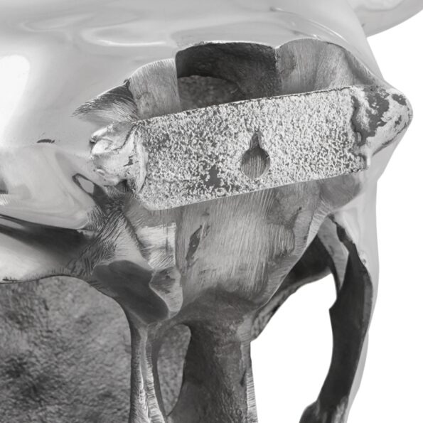 vidaXL Nástenný býk lebka Strieborná 34x13x53 cm Hliník – Obrázok 7