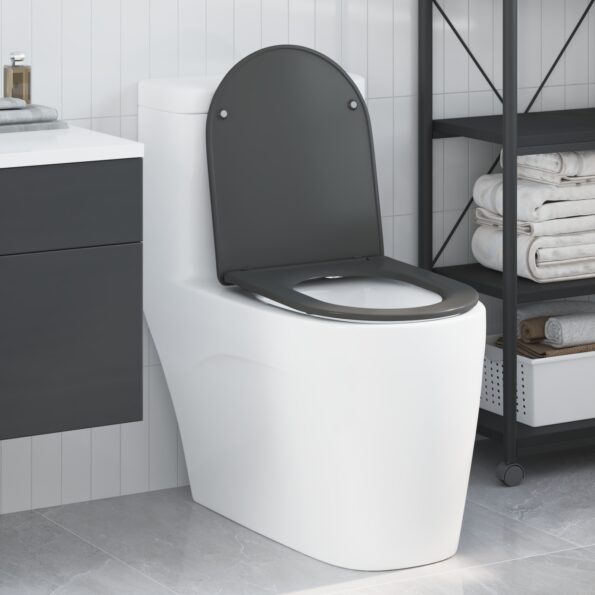 42002366_1.jpg vidaXL Rýchloupínacie WC sedadlo s tichým zatváraním Duroplast Antracit – Obrázok 1