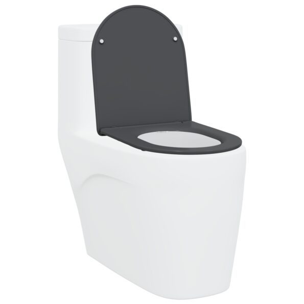 42002366_3.jpg vidaXL Rýchloupínacie WC sedadlo s tichým zatváraním Duroplast Antracit – Obrázok 3