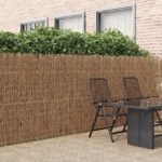vidaXL Plot z brezového dreva 400x150 cm