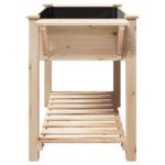 vidaXL Záhradný črepník so policami 155x59x76 cm z masívneho borovicového dreva – Obrázok 6