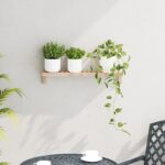 vidaXL Nástenný regál 62x10x12,5 cm z masívneho orecha – Obrázok 4