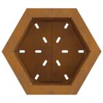 vidaXL Bezdymový ohnisko hexagonálne 48x48x51 cm z weathering ocele – Obrázok 6